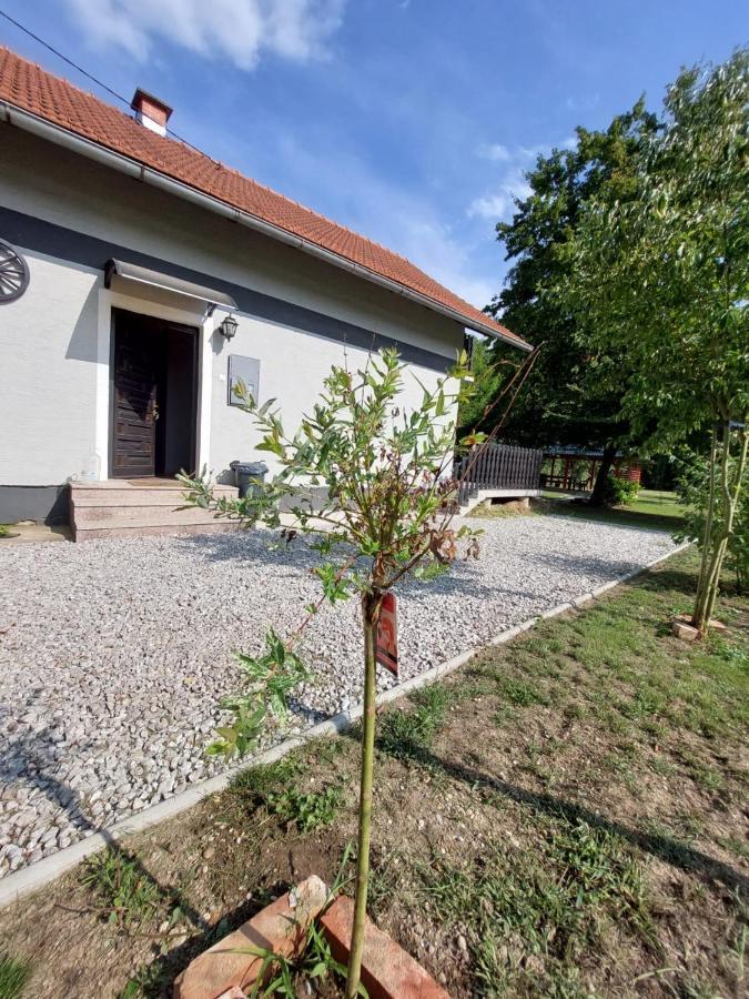 House Kupa Mb Villa Petrinja Eksteriør billede
