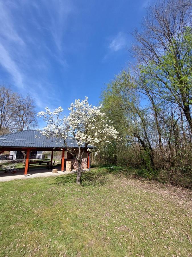 House Kupa Mb Villa Petrinja Eksteriør billede